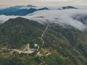 Mopan Mountain Memory Homestay