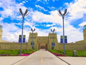 Qingyu  Vinyard
