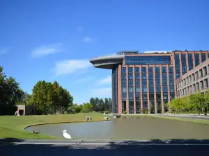 Ningjin Tongtai Ark Hotel