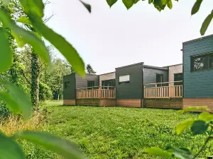 テール ドゥ フランス - ドメーヌ デュ ムーラン ヌフ