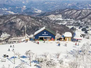 鳳凰酒店-平昌