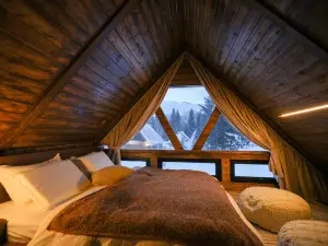 Tree Talk Homestay