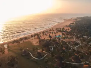 Jetwing Surf & Safari, A Luxury Reserve