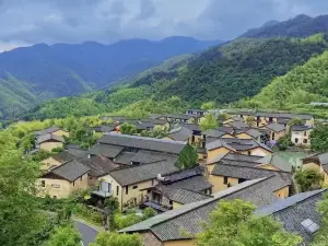 義烏棲隱大安半山民宿