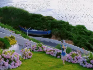 Wind Villa