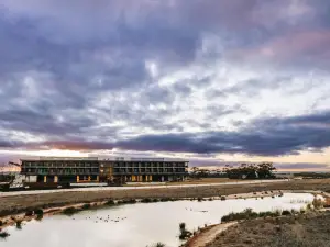 Monarto Safari Resort
