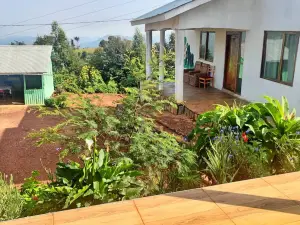 Ruhija Gorilla Guest house