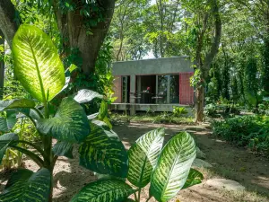 Stylish Jungle Cabin – Riverfront Retreat with Hammocks and Wi-Fi