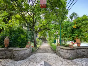 เทนูตา เดลลินวิโอลาตา