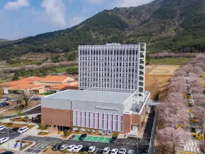 WELLPARK HOTEL GOCHANG