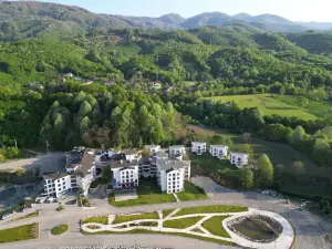 Düzce derdin termal hotel