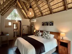 Tsunamoon River Camp