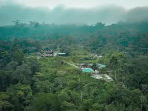 Heimatlos Amazon Lodge