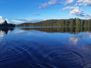 Embracing nature's Swedish house