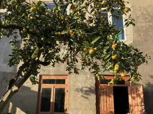 Cozy place in mountains of Ajaria