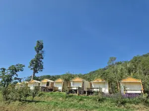 도이목타완뷰