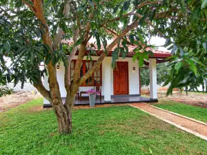 Dambulla Hills Resort