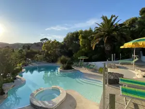 พาเมลา โอแตล กาสซิส