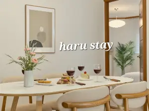 Haru Stay/Queen Bed 3/Seoul Station. Hongdae. Gangnam 30 minutes/Subway Station 7 minutes