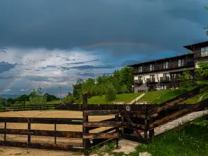 Potcoava Mountain Hideaway