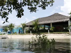 Ariella Mangrove & Eco Resort by Hiverooms