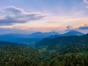 Genting View Resort