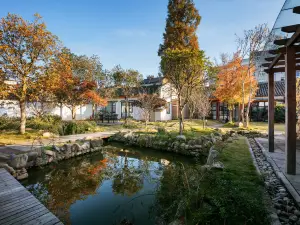 Niao Courtyard