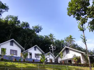 Mistywindvalley