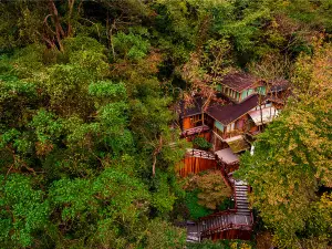 Ninghai Forest Hot Spring Resort