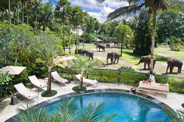 Mason Elephant Lodge Promo Code