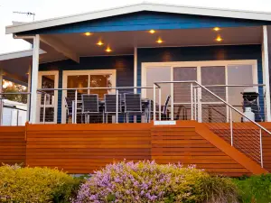 Coffin Bay Holiday Rentals - Info - Angasi