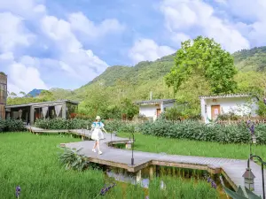 博羅禾肚裏稻田民宿