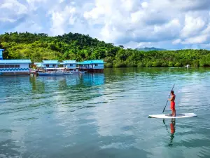 Coron Underwater Garden Resort