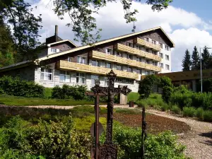 Hotel Srní Depandance - Šumava