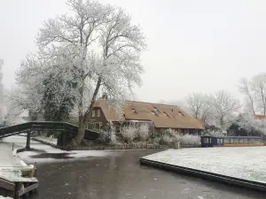 The Black Sheep Hostel