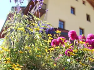 Hotel Lyshaus