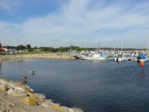 Solrosen I Simrishamn - Österlen