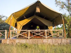 Kilima Camp - Safari in Masai Mara