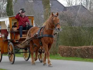 De Galeriet Giethoorn