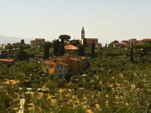 Settignano Tuscany Homes