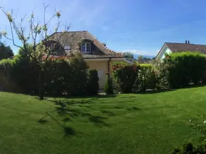 Chambre d'Hôtes Wellingtonia