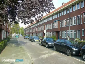 Stee in Stad