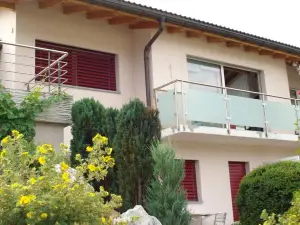 Ferienwohnung Lenggenhager Plantzette