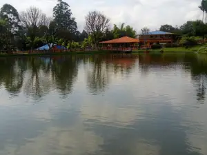 Hotel Lago Valdivia