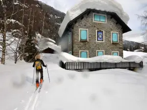 Il Cortese