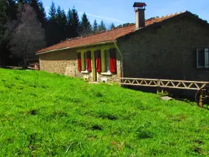 B&B les Paddocks