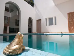 Riad Zyo