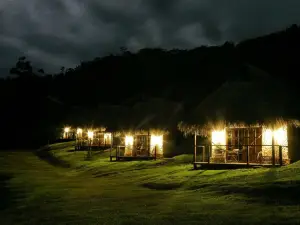 Sauce Lodge - Laguna Azul