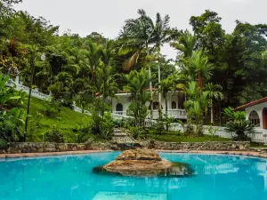 Hotel Rio Perlas Spa and Resort