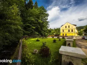 Yellow Ski Apartments